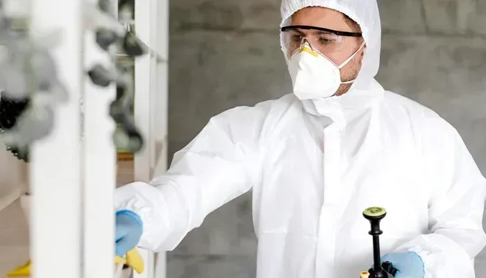 Borer Control Sydney